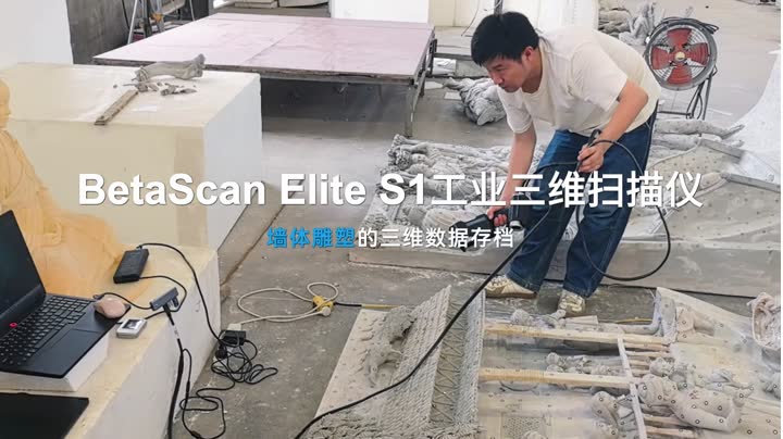 BetaScan墙体浮雕三维数据存档案例